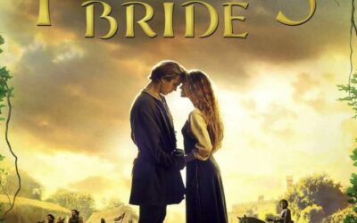 Cinéma en plein air vendredi 3 juillet à 22H30 !